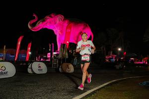 BIB: 
                            <button type="button" onclick="openModal(26534387)" class="btn btn-primary btn-sm float-right btn-popup" data-toggle="modal" data-target=".modal-high-quality">
                        <i class="fas fa-shopping-cart"></i> Add to Cart
                    </button>
                                            <button type="button" onclick="isThisMe(26534387, true)" class="btn btn-success btn-sm float-right btn-popup btn-isme hidden" data-toggle="tooltip" data-placement="bottom" title="นี่คือรูปของคุณใช่ไหม คลิกที่นี่เพื่อเอาเข้าอัลบั้ม">
                        <i class="fas fa-plus"></i> Add to album
                    </button>
                    <button type="button" onclick="isThisMe(26534387, false)" class="btn btn-warning btn-sm float-right btn-popup btn-isnotme hidden">
                        <i class="fas fa-ban"></i> Remove from album
                    </button>